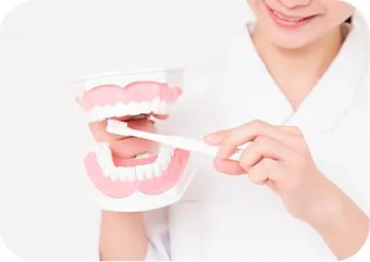 歯の模型で歯みがきを説明する女性