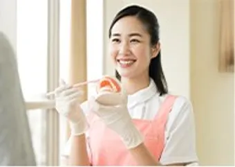 歯の模型で歯みがき指導をする女性スタッフ